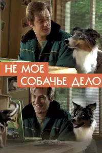 Не моё собачье дело русский сериал